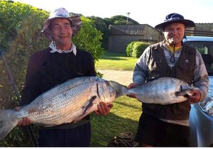 Dwarswater se Grotes